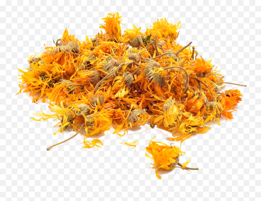 Dried Marigold - Calendula Dried Png,Marigold Transparent