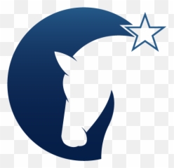 Shooting Star Psychology U0026 Equine Therapy Leduc County - Stallion png