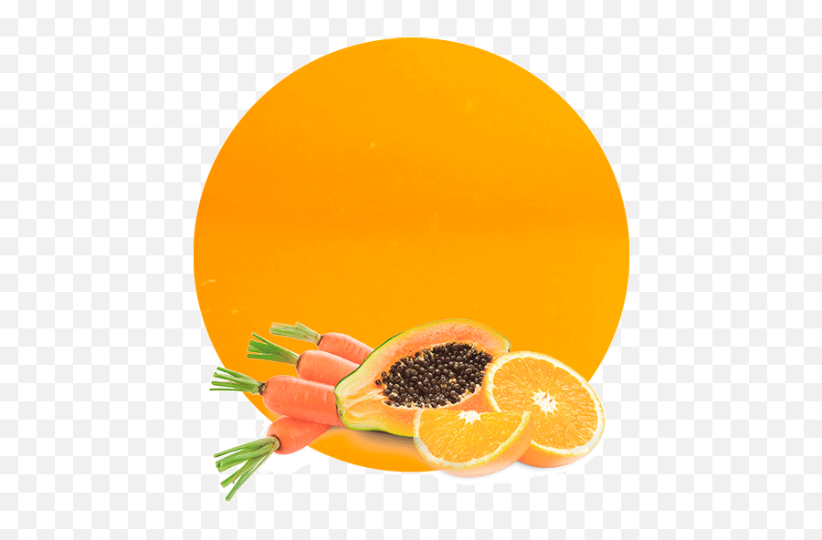 Orange Carrot U0026 Papaya Concentrate - Manufacturer U0026 Supplier Carrot Papaya Orange Png,Papaya Png