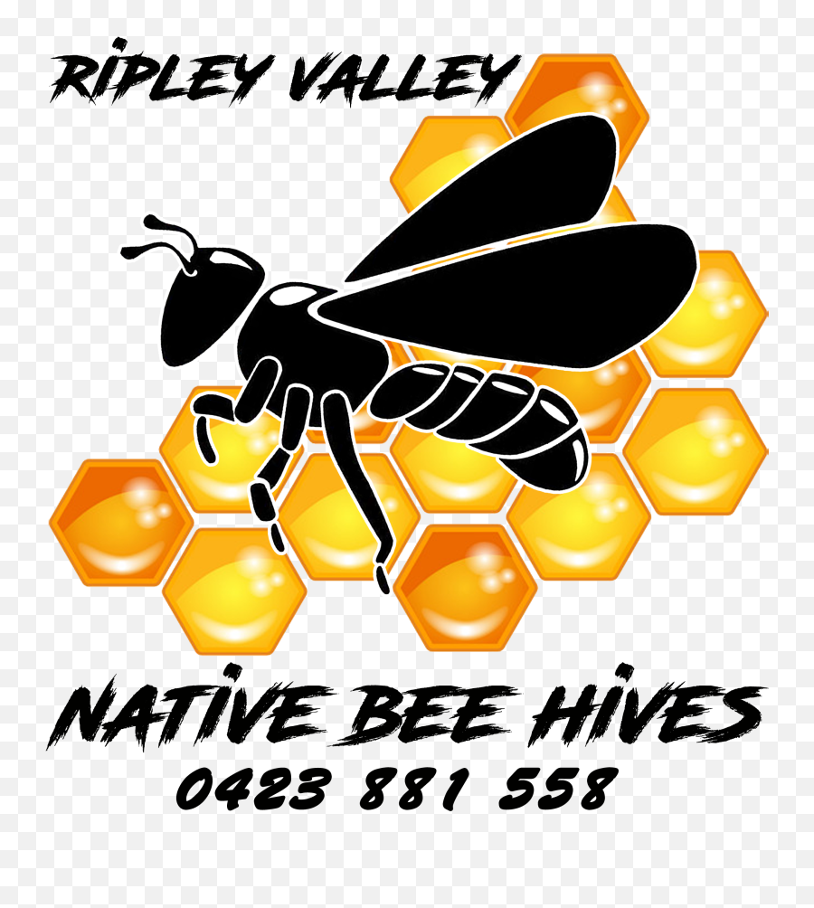 Ripley Valley Native Bee Hives - Native Bee Hives For Sale Honey Bee Png,Bee Hive Png
