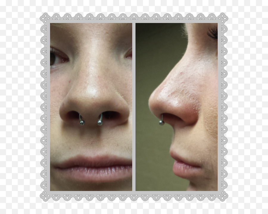 A Healed Septum Piercing I Did Several - Body Piercing Jewellery Png,Septum Piercing Png