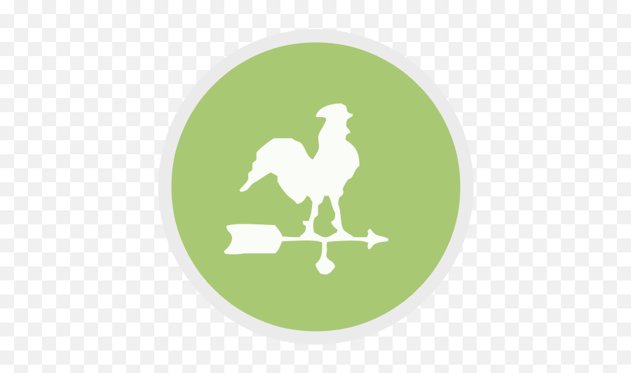 Freebies Free Mockups Graphics - Rooster Png,Logo Mockup Psd