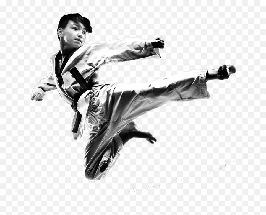 Taekwondo Art Discipline And Citizenship - Taekwondo Times Cartoon Taekwondo  Png,Karate Png - free transparent png images 