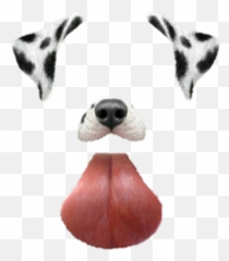 Dog Filter Png - Filtros De Snapchat Perro