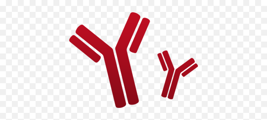 Plexense - Vertical Png,Antibody Png