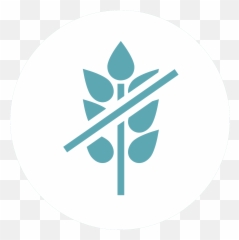 Is Pocky Gluten Free - Language Png,Pocky Logo