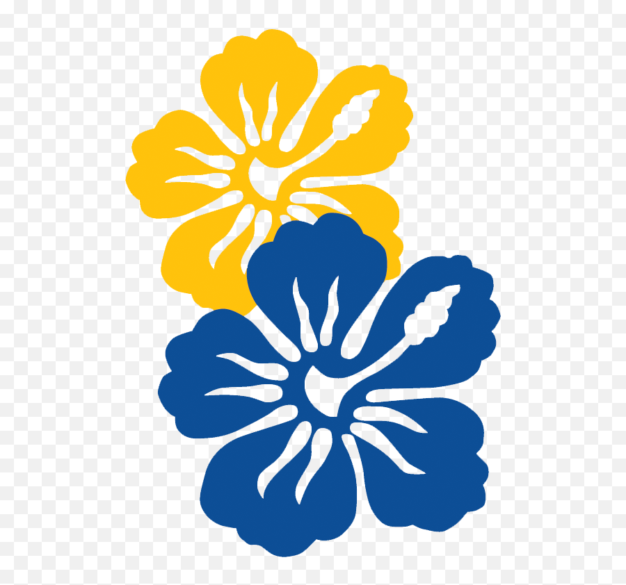 Hawaiian Clipart Pacific Islander - Pacific Islander Flower Pacific Flower Png,Hawaii Flower Icon