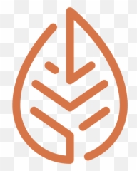 Sunday Sermons - November 15 2020 u2014 Life Church Abstract Leaf Logo png