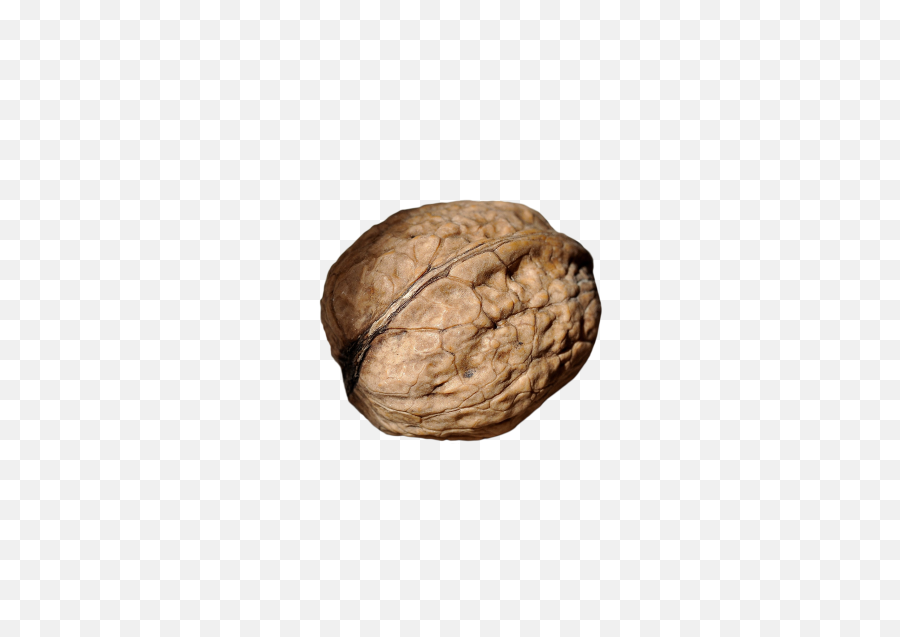 Walnut Png Image - Nuss Png,Walnut Transparent