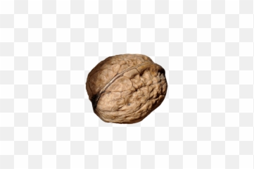 Walnut Png Image - Nuss Png,Walnut Transparent