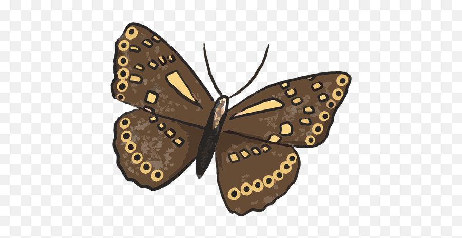 Brown Butterfly Insect Illustration Transparent Png U0026 Svg Vector - Euphydryas,Icon Butterfly Helmet