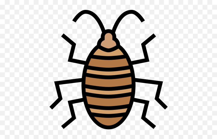 Cockroach - Free Animals Icons Blattodea Png,Cockroach Icon