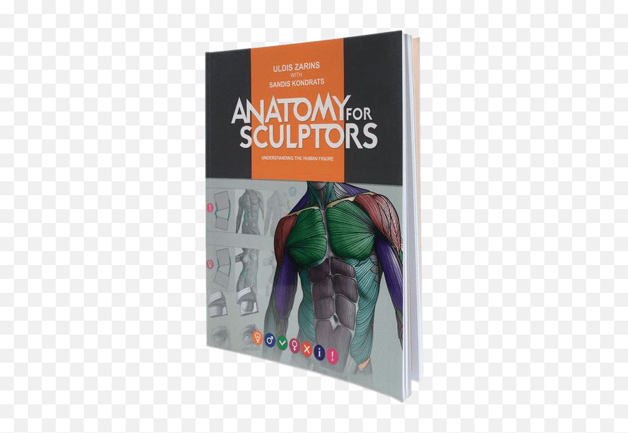 Anatomy For Sculptors Understanding The Human Figure - Paperback Anatomy Book For Sculptor Png,Human Figure Png