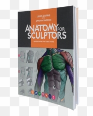 Anatomy For Sculptors Understanding The Human Figure - Paperback Book png
