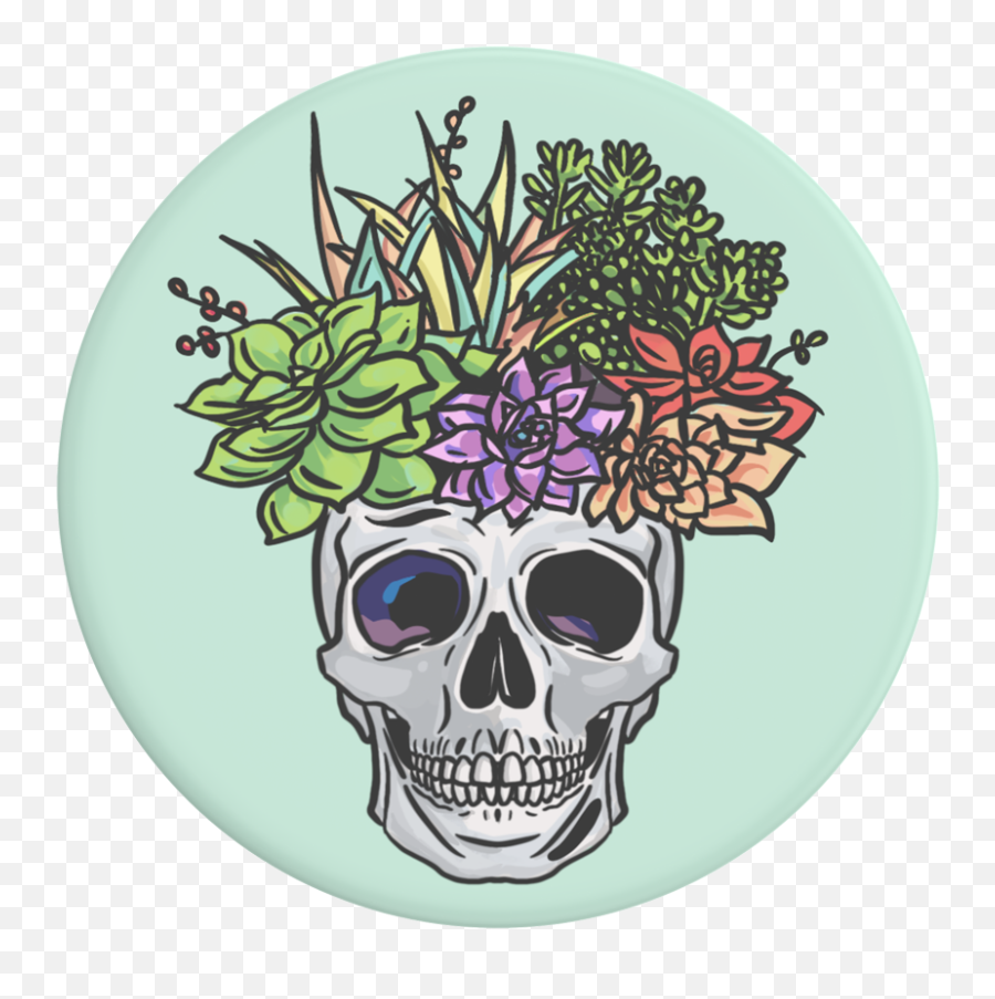 Succulent Headspace - Popsockets Png,Headspace App Icon
