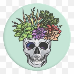 Succulent Headspace - Popsockets png