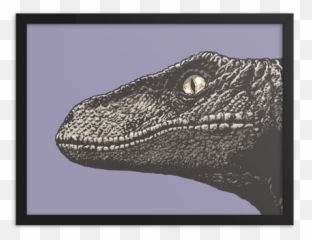 Rojias U2013 Salvage Design Store - Picture Frame png