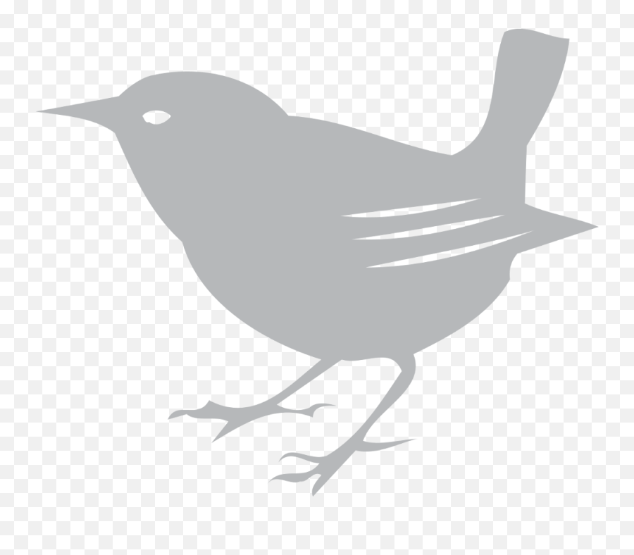 Download Scott Free Bird - Scott Free Logo Bird Full Size Scott Free Productions Logo Png,Bird Logo