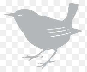 Download Scott Free Bird - Scott Free Logo Bird Full Size Scott Free Productions Logo Png,Bird Logo