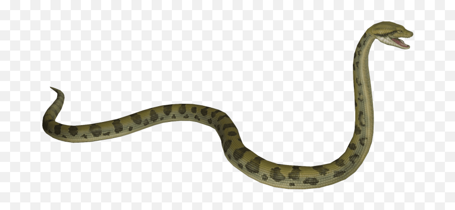 Anaconda S Png Images Transparent - Anaconda Transparent,Anaconda Png