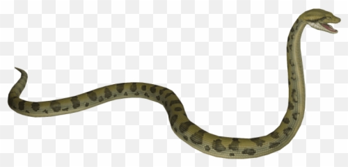 Anaconda S Png Images Transparent - Anaconda Transparent,Anaconda Png