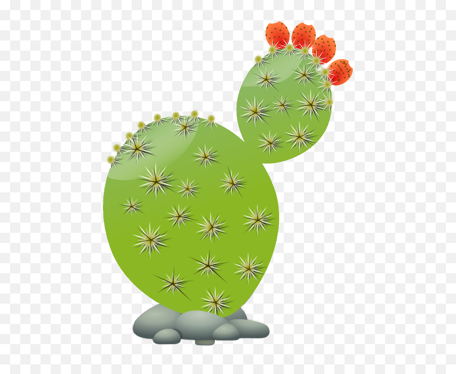 Succulents And Cactus Cactaceae Clip Art - Cactus Png Prickly Pear Cactus Clipart,Succulents Png