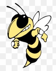 Hornet Clipart Yellow Jacket - Bishop Moore Hornets Logo Georgia Tech Yellow Jackets Png,Hornets Logo Png