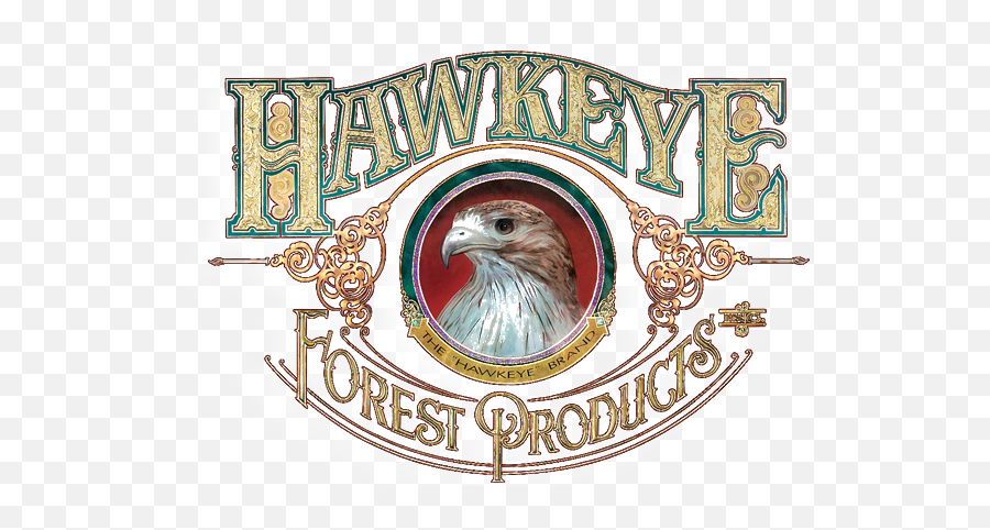 Hawkeye Forest Products - Accipitridae Png,Hawkeye Logo Png