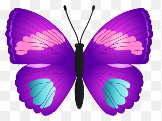 Transparent Butterfly Clipart Free Download - With Transparant Background png