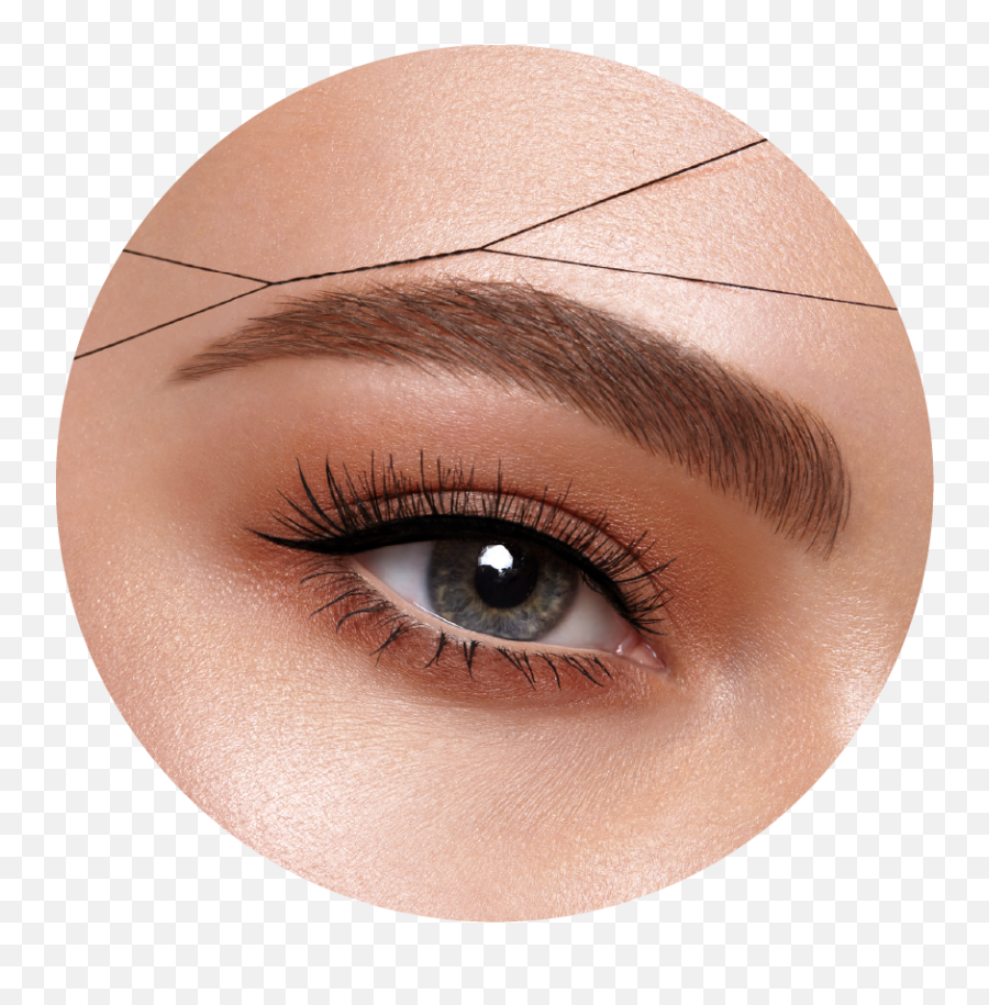 Download Hd Brows Training - Beauty Parlour Threading Eyebrows Png,Brows Png