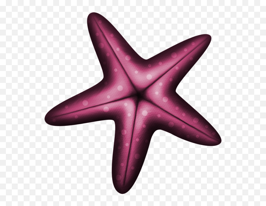 Starfish Clip Art Pictures - Estrellas De Mar Vector Png Vector Estrella De Mar Dibujo,Starfish Clipart Transparent Background