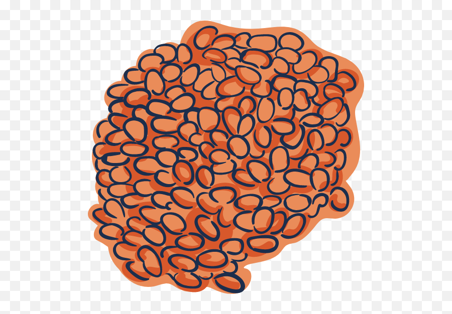 Baked Beans Graphic - Illustrations Picmonkey Graphics Dot Png,Baked Beans Png