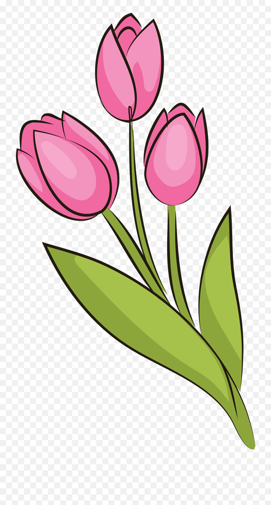Bouquet Of Tulips Clipart - Tulips Clipart Png Download Tulips Clipart,Tulips Png