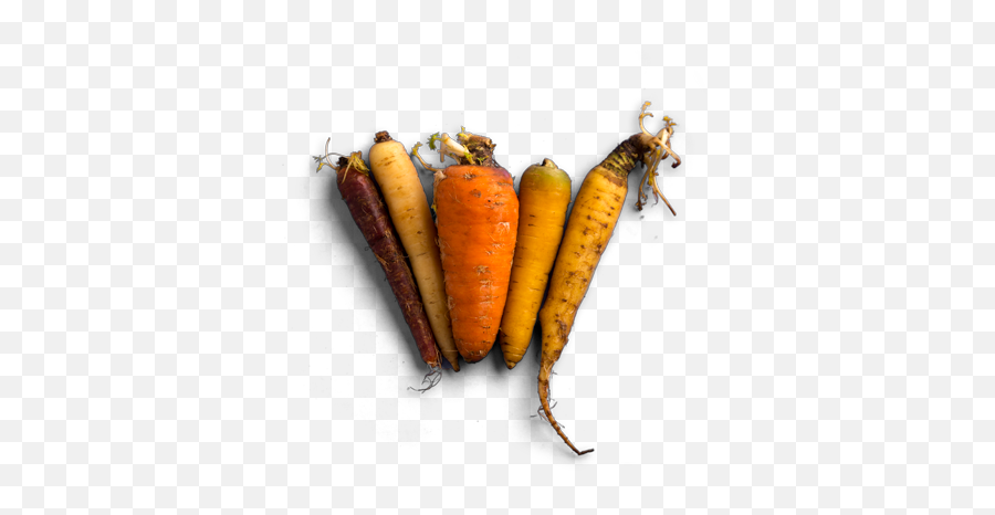 Laziz Curry Kitchen - Vegetable Curry Carrots Baby Carrot Png,Vegetables Transparent