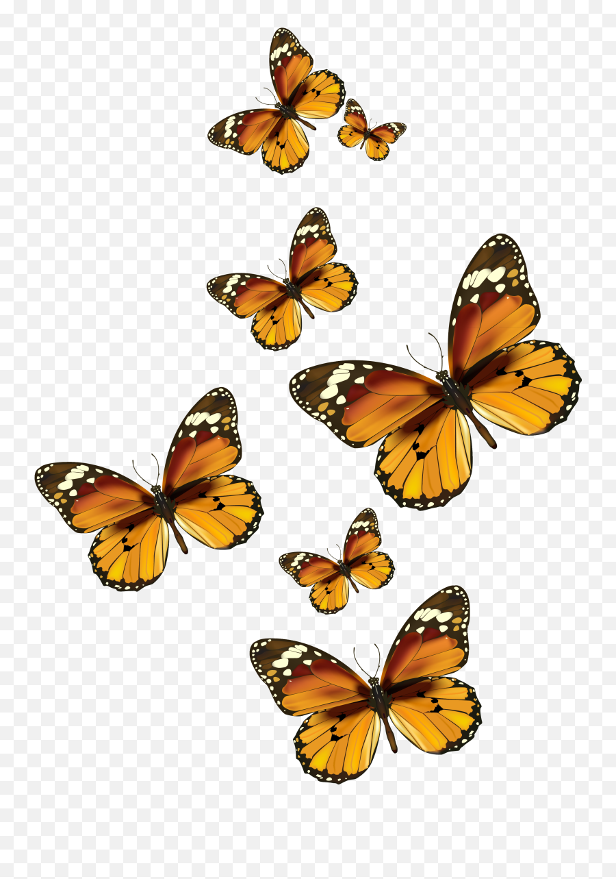 Download Butterflies Vector Png Clipart - Butterflies Clipart Transparent Background,Butterflies Transparent