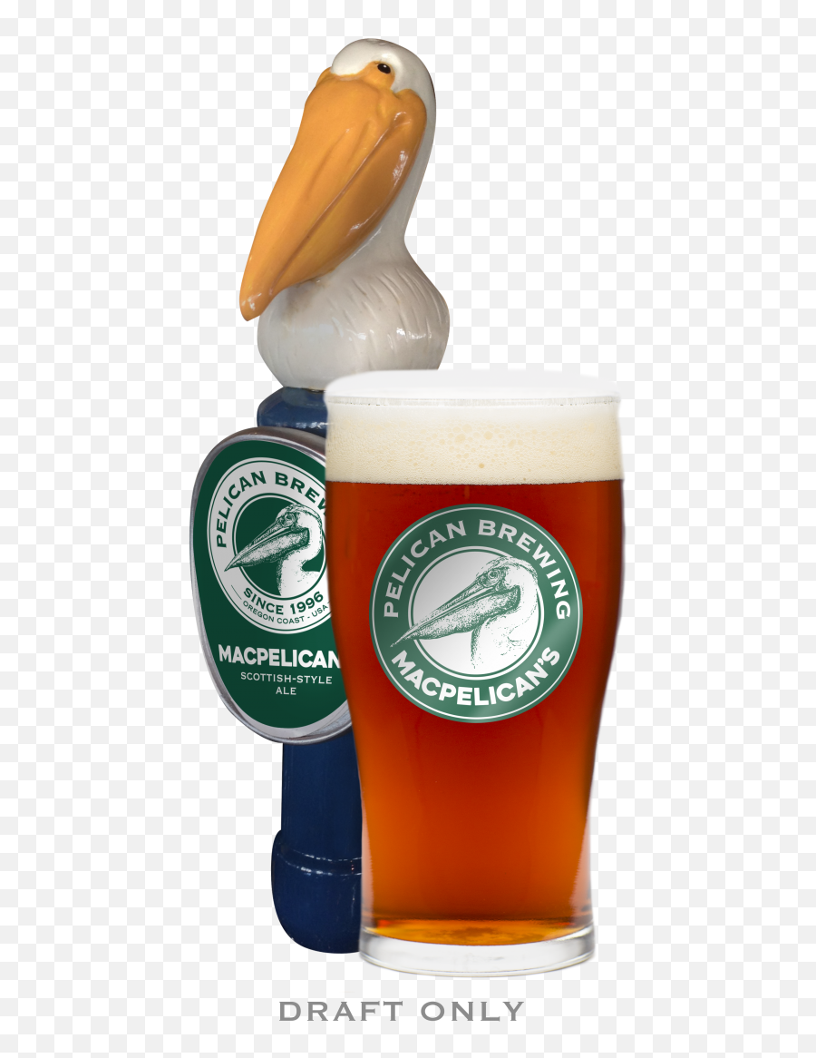 Macpelicanu0027s Pelican Brewing Company - Willibecher Png,Beer Foam Png