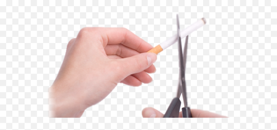 Download Left Hand Holding Unlit Cigarette Right - Cosmetic Tool Png,Lit Cigarette Png