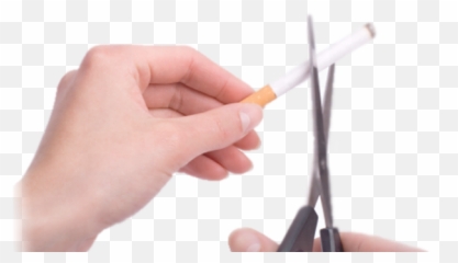 Download Left Hand Holding Unlit Cigarette Right - Cosmetic Tool Png,Lit Cigarette Png