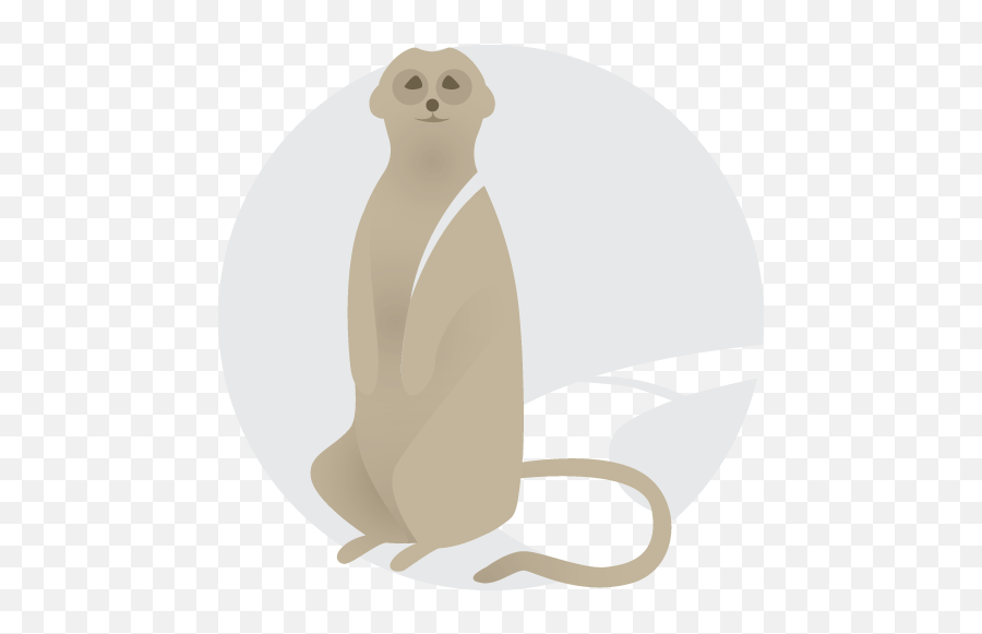 Online Marketing - Illustration Png,Meerkat Icon