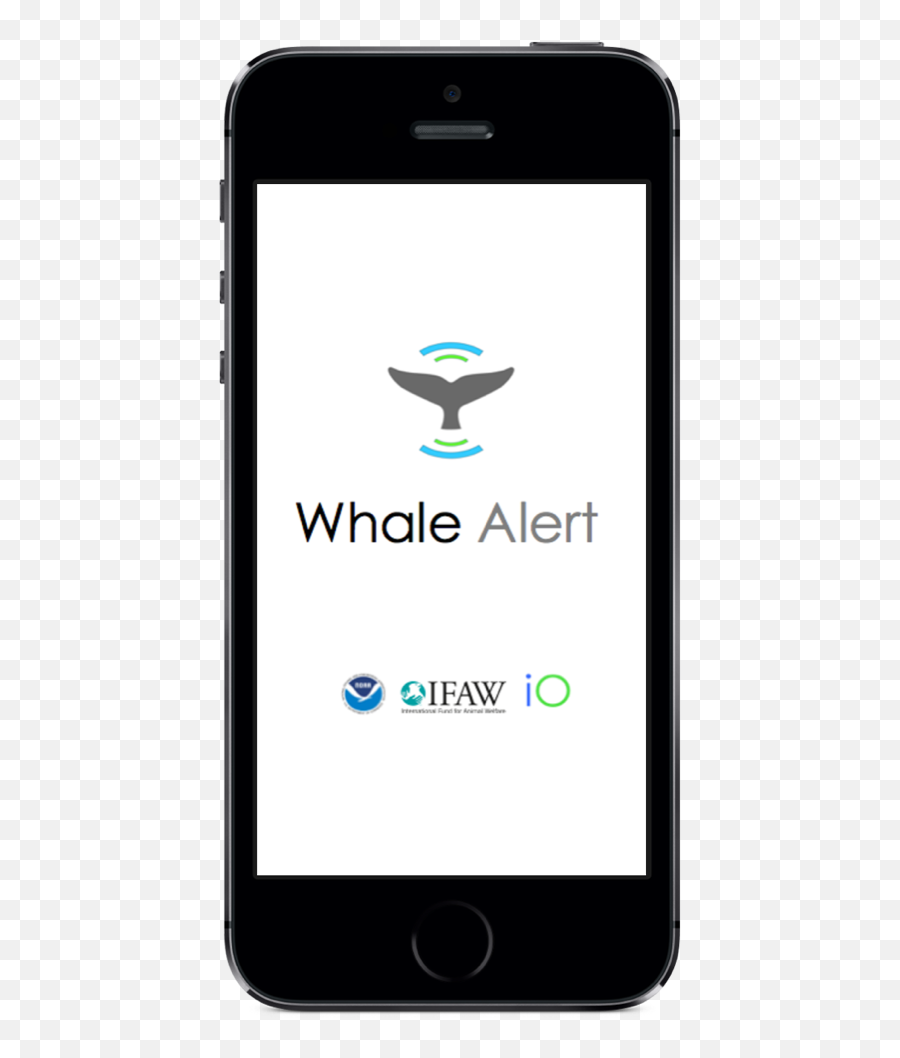 Whalealert - Iphone Png,Weather Channel App High Wind Alert Icon