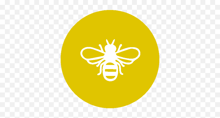 Blog U2014 Klydie Bee - Honey Bees Png,Bee Icon Vector