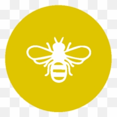 Blog U2014 Klydie Bee - Honey Bees Png,Bee Icon Vector