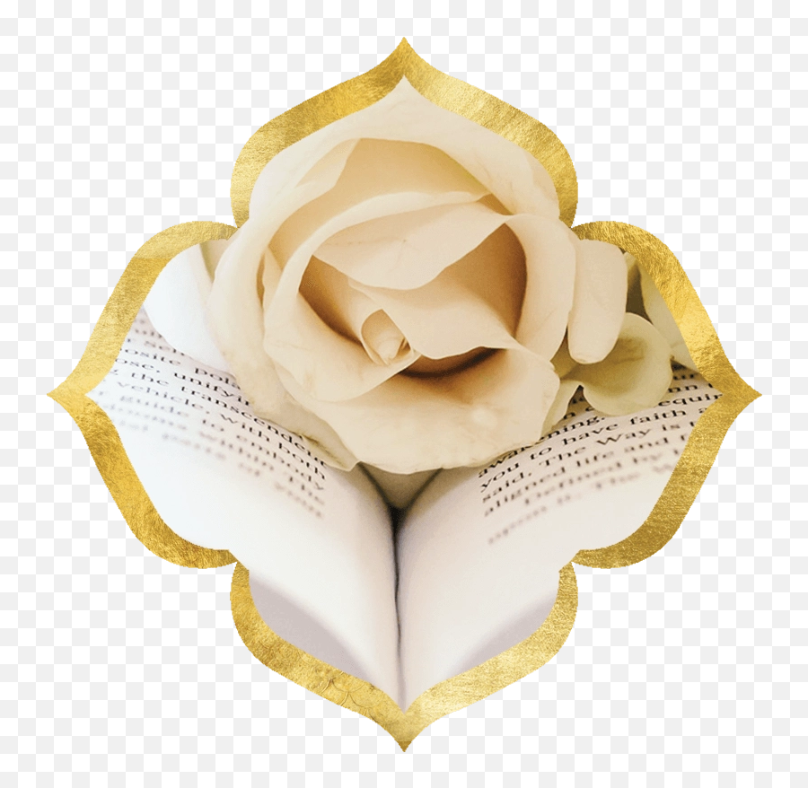 The Sophia Code Foundation - The Sovereign Divinity Of Humanity Garden Roses Png,Christ Sophia Icon