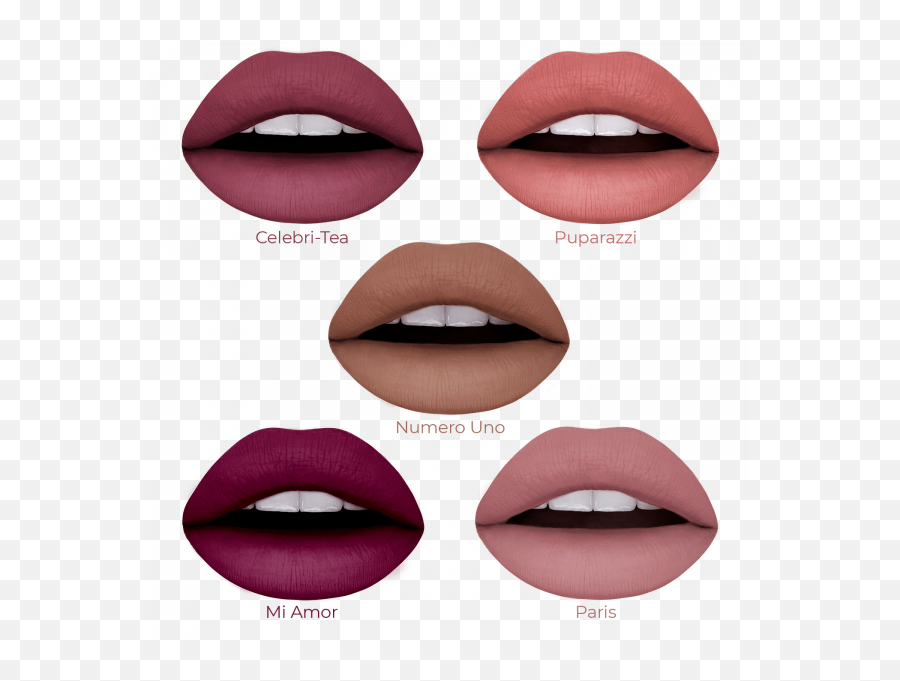 The Coveted Collection - Liquid Lipstick Liveglam Liveglam Lipstick Png,Huda Beauty Icon Swatch