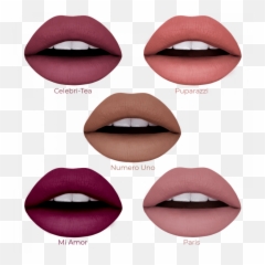 The Coveted Collection - Liquid Lipstick LiveGlam Liveglam png