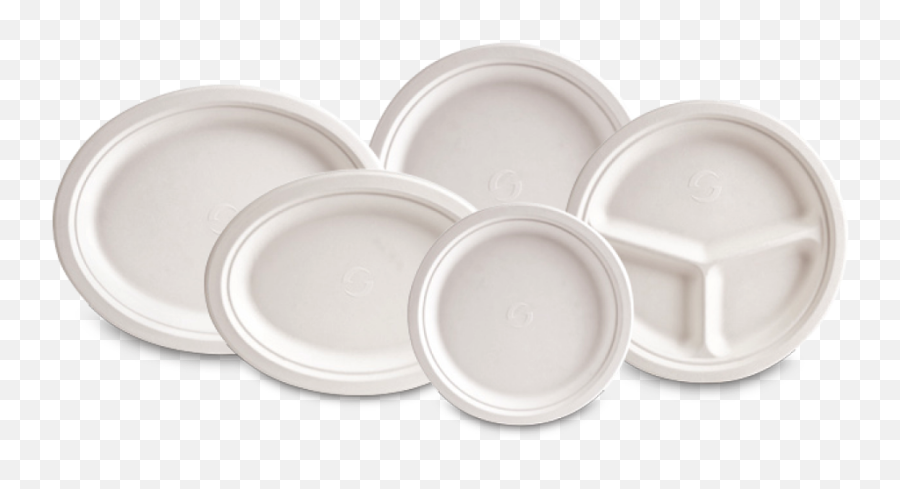 Evolution Plates - Plate Png,Plates Png