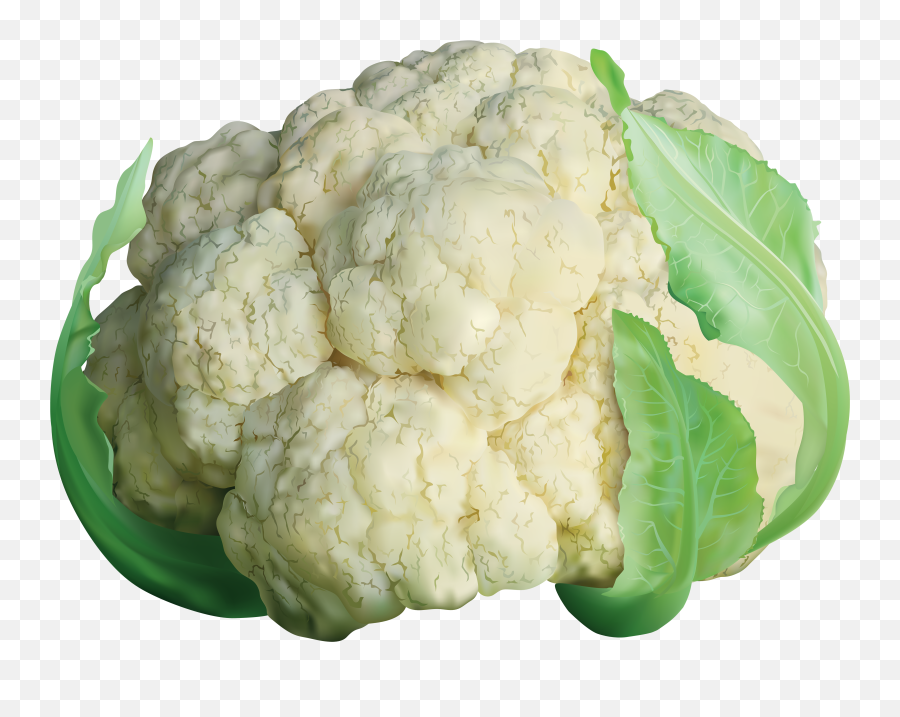 Cabbage Clipart Cauliflower Transparent Png