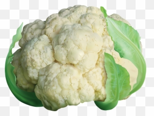 Cabbage Clipart Cauliflower Transparent Png