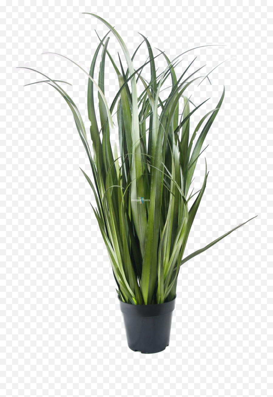 Download Fake Dense Grass Plant - Transparent Fake Plant Png,Ornamental Grass Png