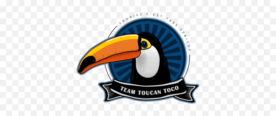 Logo Toucan Toco Team - Toucan Png,Bird Logo
